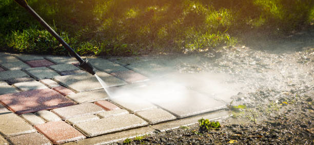 Best Animal Enclosure Cleaning  in Hurt, VA